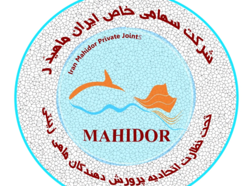 ساخت لوگو موشن ماهیدُر